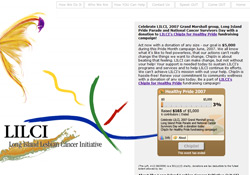 The Long Island Lesbian Cancer Initiative (LILCI)